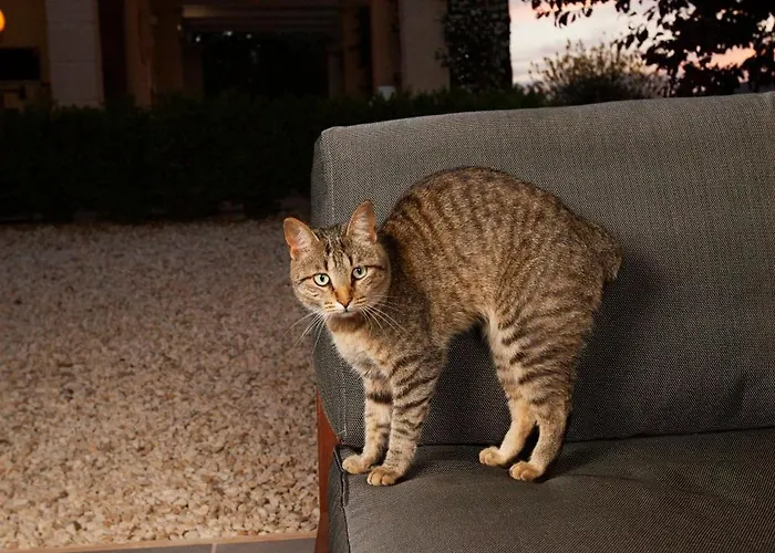 Casa Mia In Puglia Kır Evi *