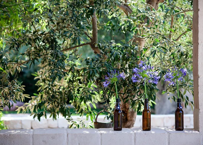 Casa Mia In Puglia * Conversano