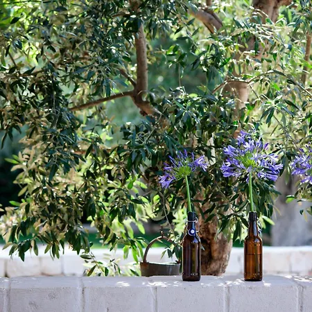 Casa Mia In Puglia * קונברסאנו